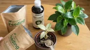 Fertilizzante naturale in pellet e concime liquido accanto a piante in vaso su tavolo di legno