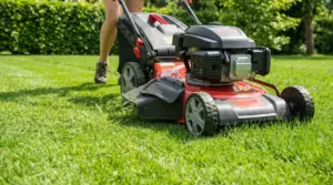 Persona che taglia il prato con un tosaerba su un giardino verde, lasciando l’erba tagliata sul terreno